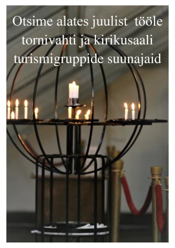 Toomi tööle