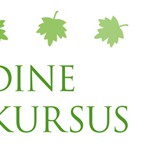 Leerikursus_kevad2016_banner