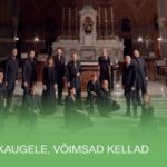 53406516_2091610197619317_8588419469271891968_n