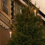 2.advent tervitus terav